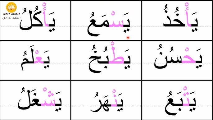 صورة الدورة